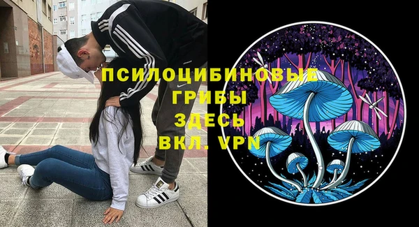 хмурый Алексин