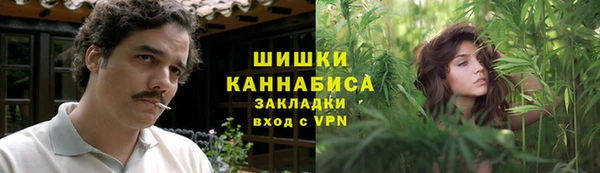 молекула духа Алзамай