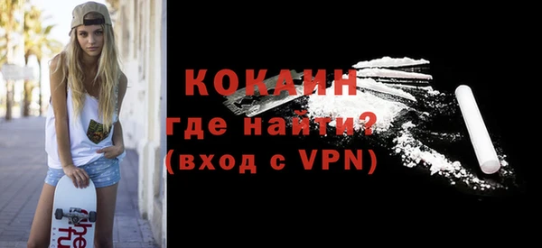 хмурый Алексин