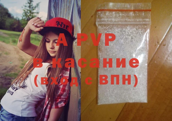 хмурый Алексин