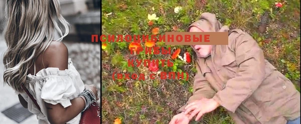 молекула духа Алзамай
