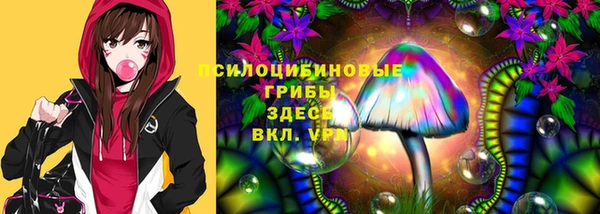 молекула духа Алзамай