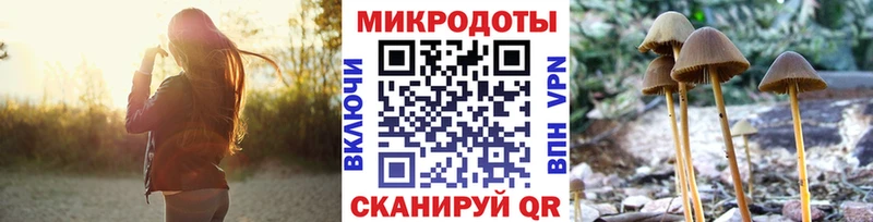 Галлюциногенные грибы мицелий  KRAKEN рабочий сайт  Тайшет 